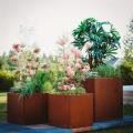 Garden Planting Steel Box