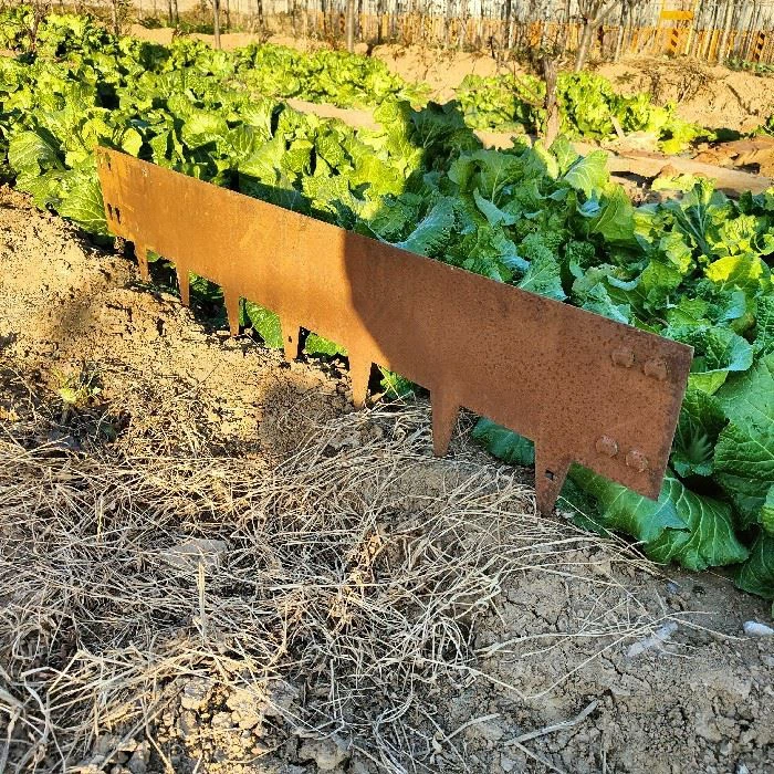 Custom Corten Steel Garden Edging