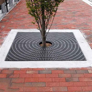 Χάλυβα δέντρα δρόμου σχάρες